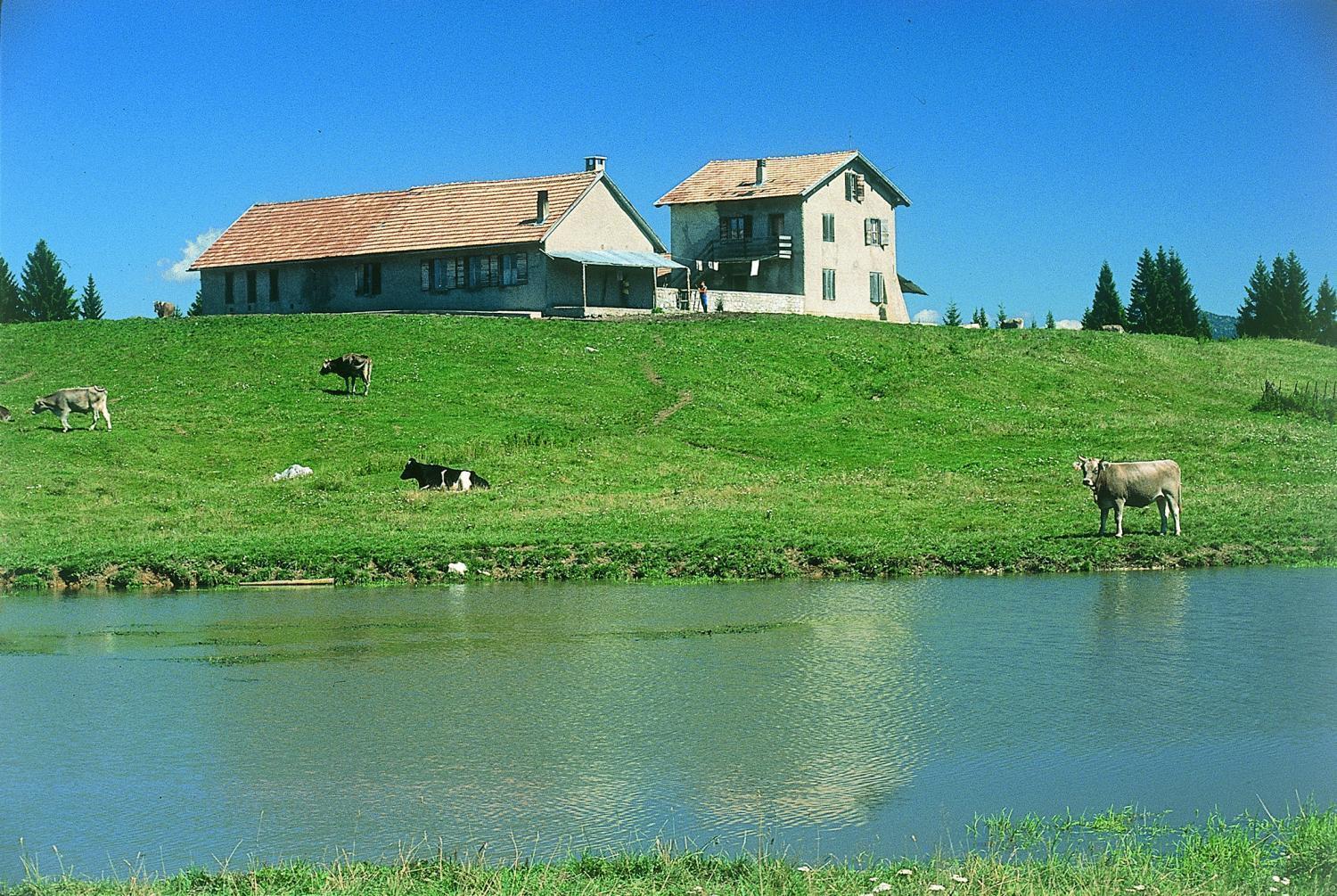 Alaska Clubresidence Folgaria Esterno foto